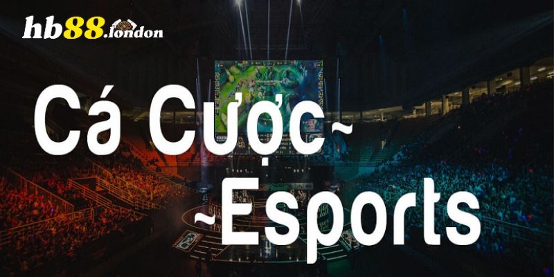 Cá cược E-Sports được nhắc đến nhiều trong đánh giá HB88